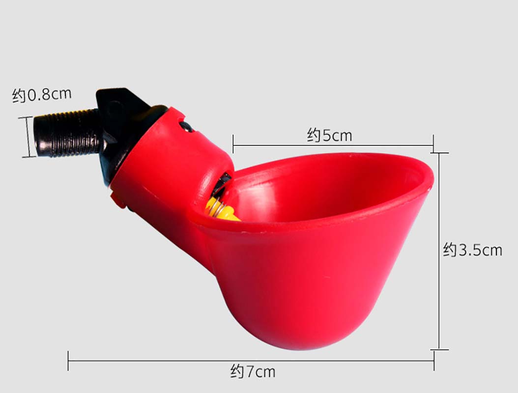 Pigeon automatic drinking bowl, pigeon drinker Bowl