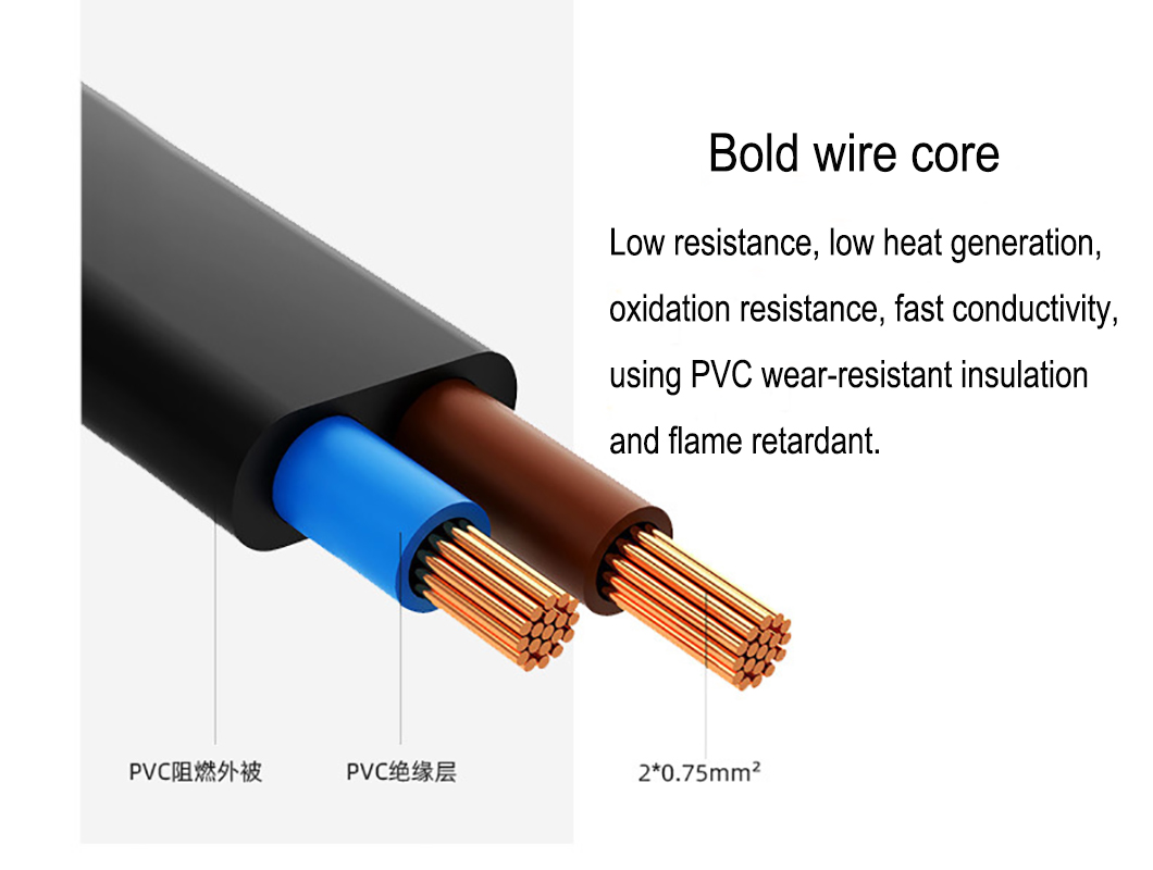 Two core Pure copper soldered tin European standard power cord